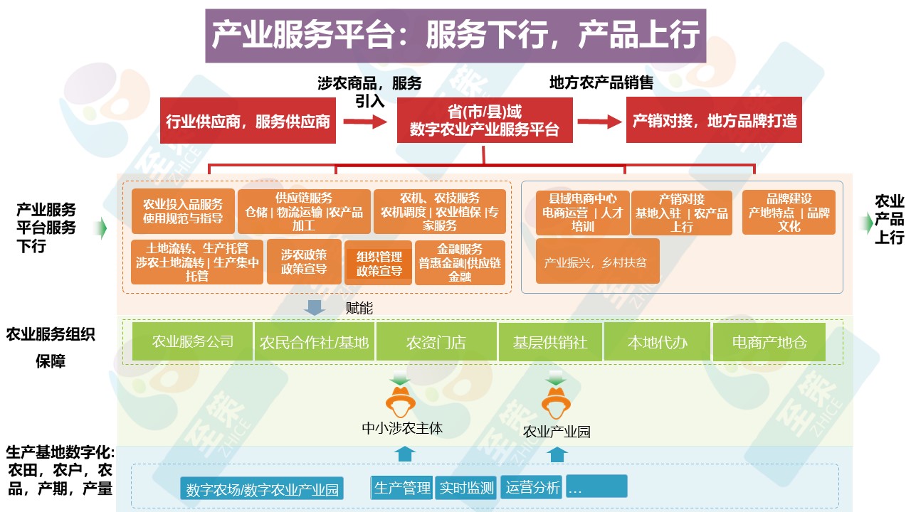 乡村产业数字化1