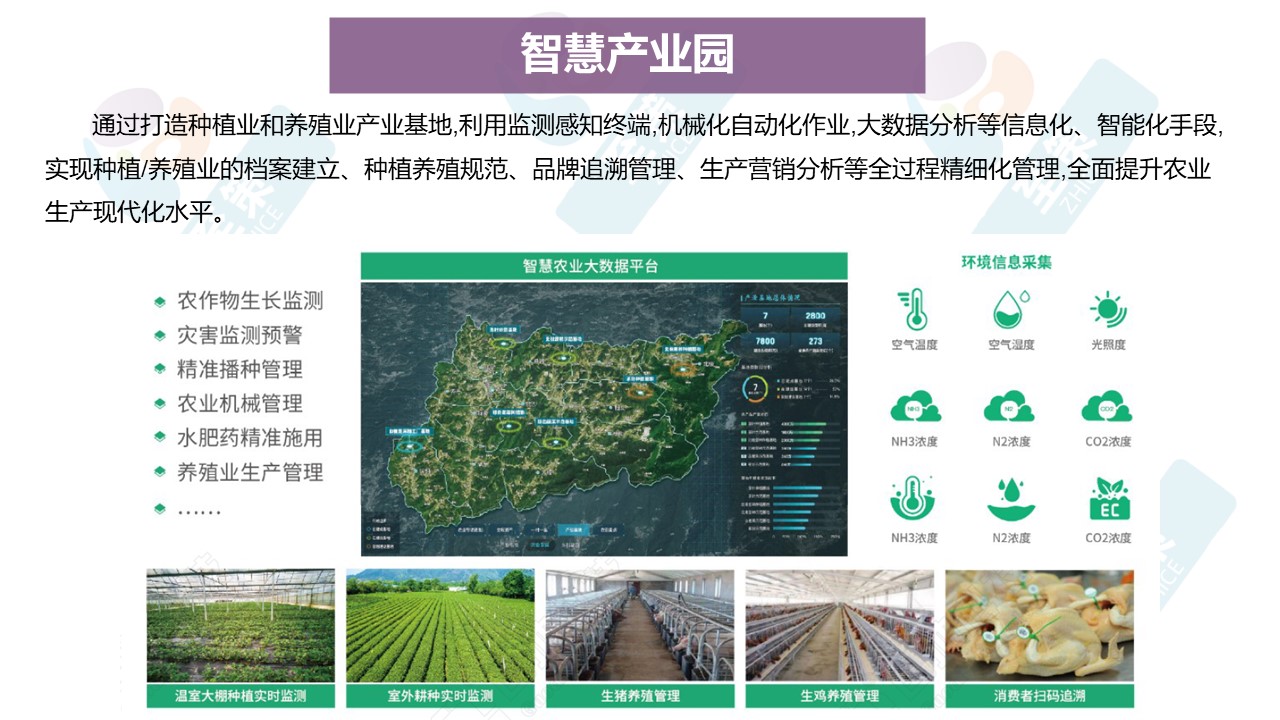 乡村产业数字化3