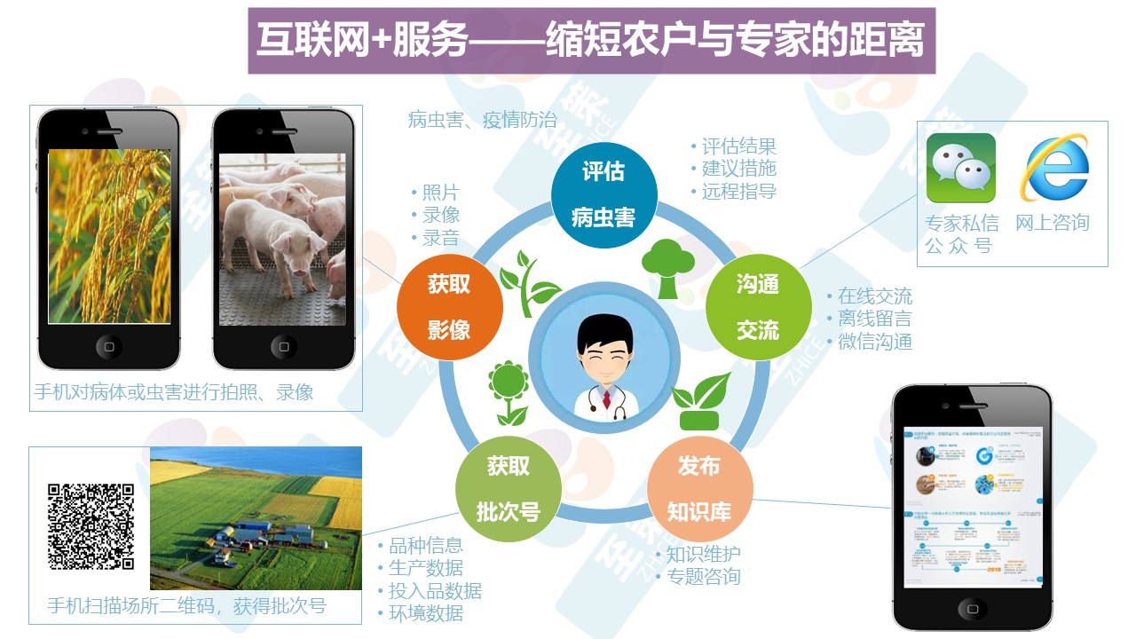 农业专家系统1
