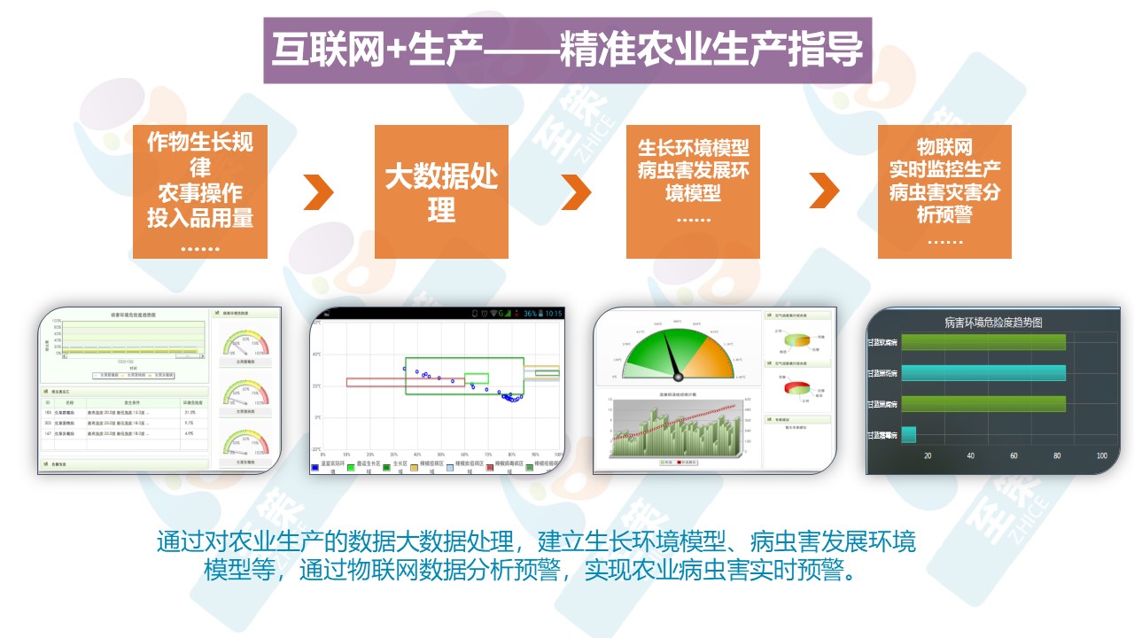 农业专家系统2
